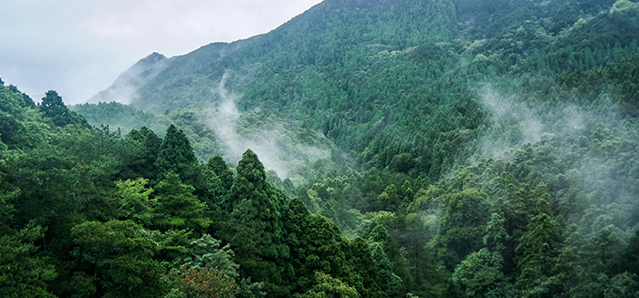 防火預警監(jiān)控